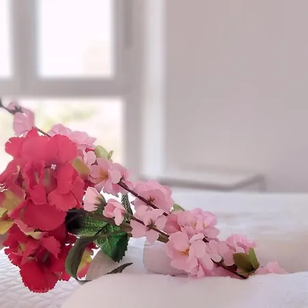 Apartment Del Parque Flats La Joya De *